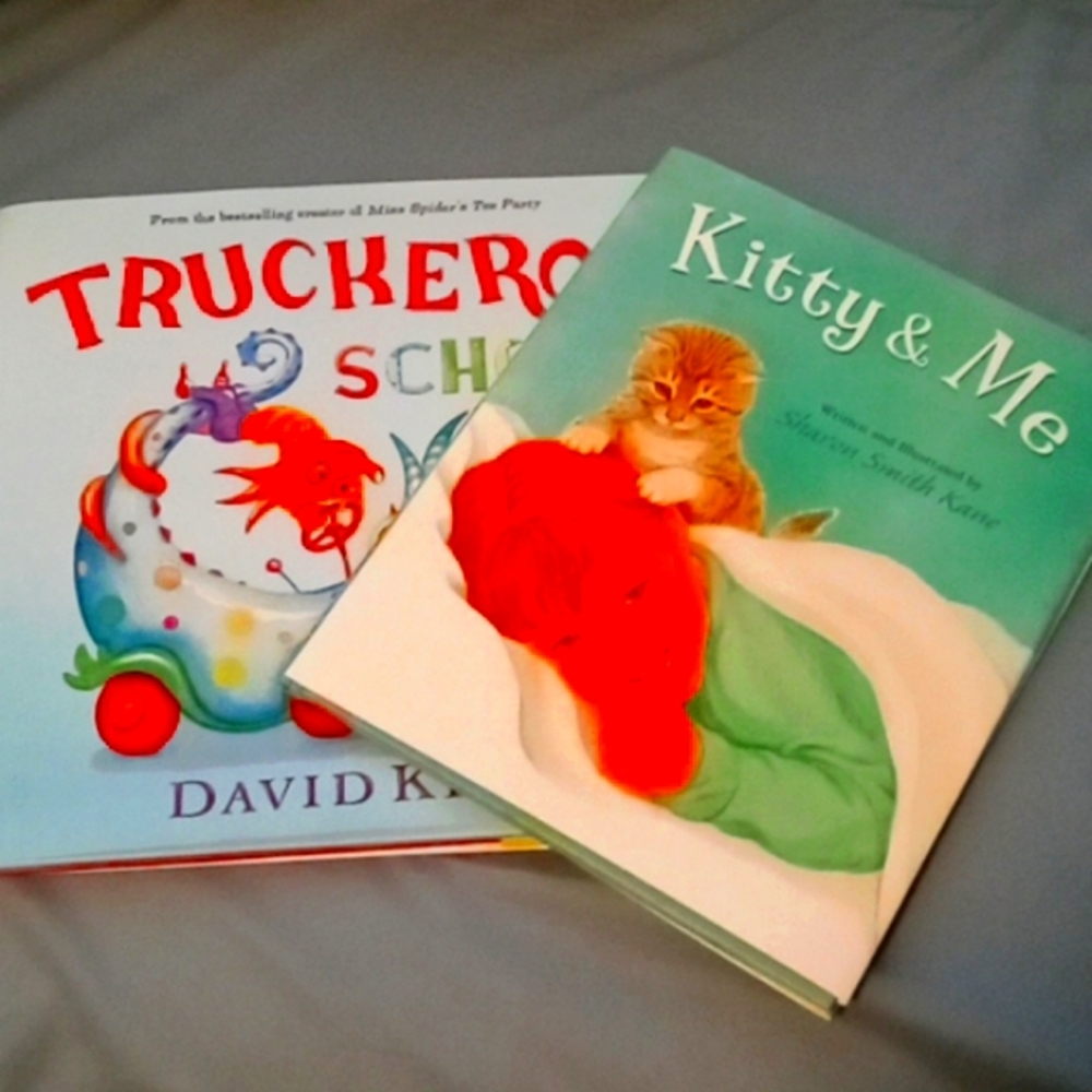COPY - Children's book bundle
